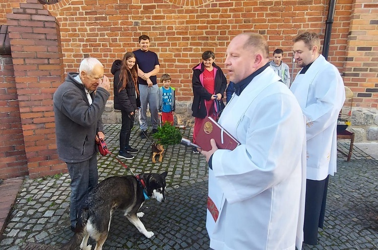Błogosławieństwo zwierząt przy katedrze
