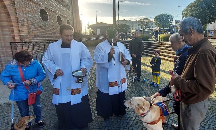Błogosławieństwo zwierząt przy katedrze
