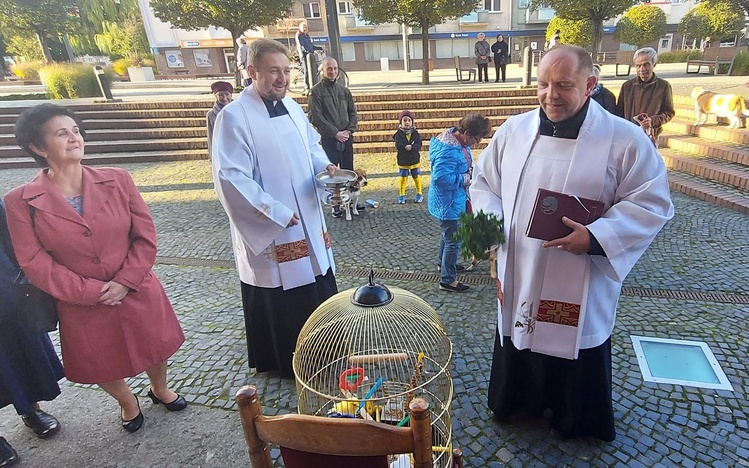 Błogosławieństwo zwierząt przy katedrze