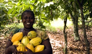 Czy mamy przejmować się, kto wyprodukował czekoladki, kawę i ciuchy?... Czyli o handlu sprawiedliwym