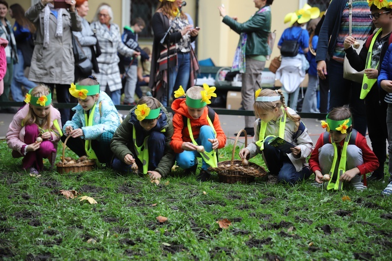Żonkilowy Marsz Nadziei 2022