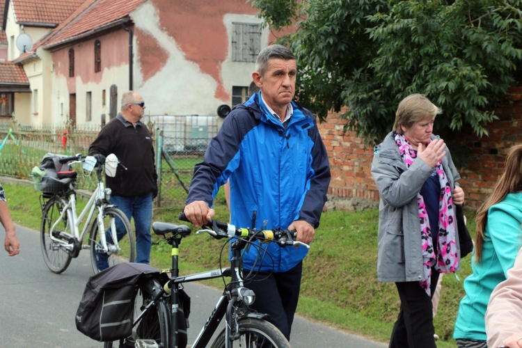 VI Piesza Pielgrzymka z Brzegu Dolnego do Łososiowic