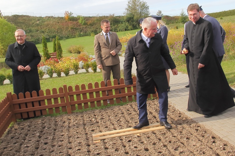 Pola Nadziei w Darłowie