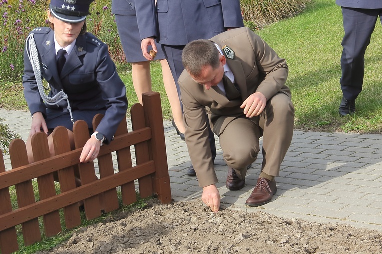 Pola Nadziei w Darłowie