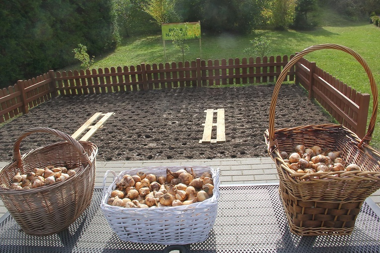 Pola Nadziei w Darłowie