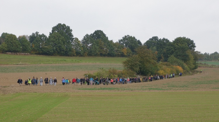 Epilog XIX Pieszej Pielgrzymki Diecezji Świdnickiej na Jasną Górę