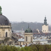 Żaryn: Białoruska propaganda podaje nieprawdę o przygotowaniach do aneksji Lwowa i Wołynia