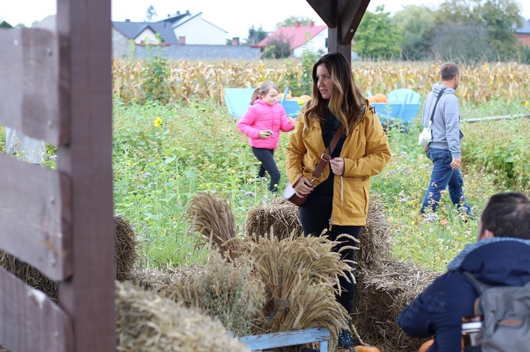 Z wizytą na farmach dyniowych