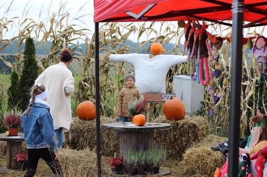 Z wizytą na farmach dyniowych