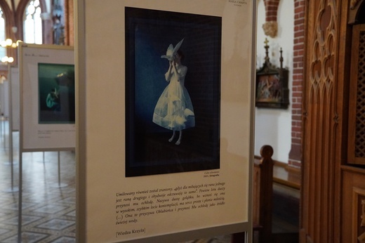 Edyta Stein, ciemność i światło