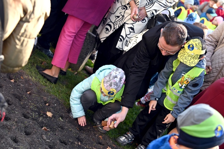 Tu zakwita dobro. Pola Nadziei w Świdnicy