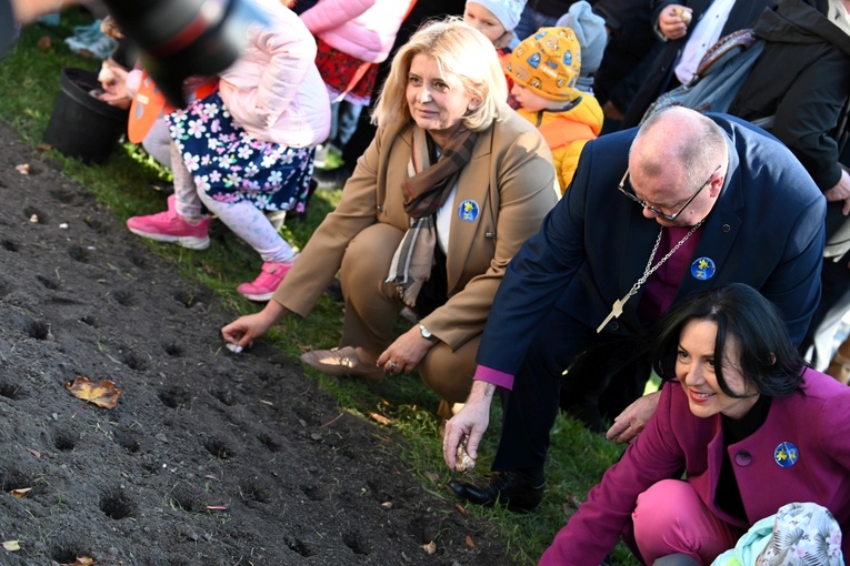 Tu zakwita dobro. Pola Nadziei w Świdnicy