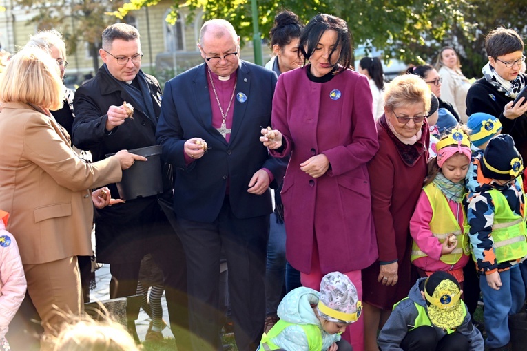 Tu zakwita dobro. Pola Nadziei w Świdnicy