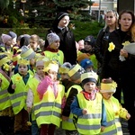 Tu zakwita dobro. Pola Nadziei w Świdnicy