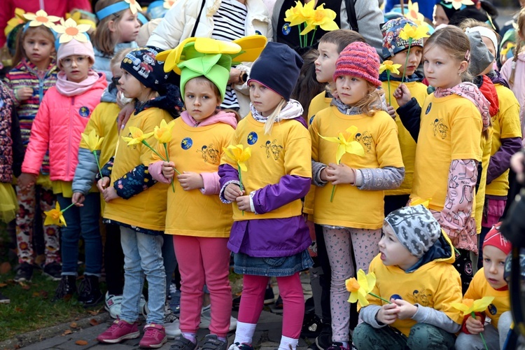 Tu zakwita dobro. Pola Nadziei w Świdnicy