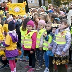 Tu zakwita dobro. Pola Nadziei w Świdnicy