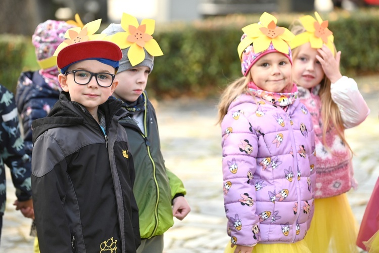 Tu zakwita dobro. Pola Nadziei w Świdnicy