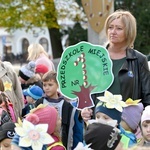 Tu zakwita dobro. Pola Nadziei w Świdnicy