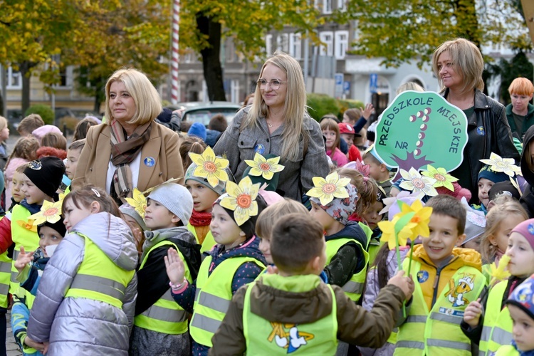 Tu zakwita dobro. Pola Nadziei w Świdnicy