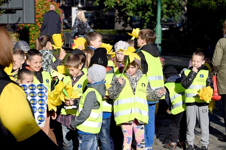 Tu zakwita dobro. Pola Nadziei w Świdnicy