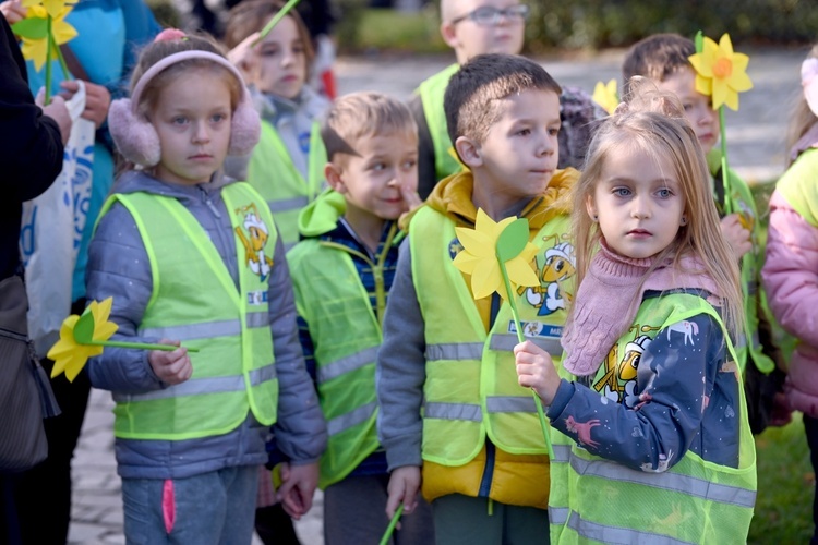 Tu zakwita dobro. Pola Nadziei w Świdnicy