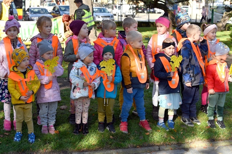 Tu zakwita dobro. Pola Nadziei w Świdnicy