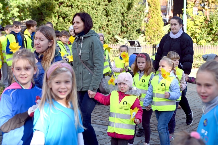 Tu zakwita dobro. Pola Nadziei w Świdnicy