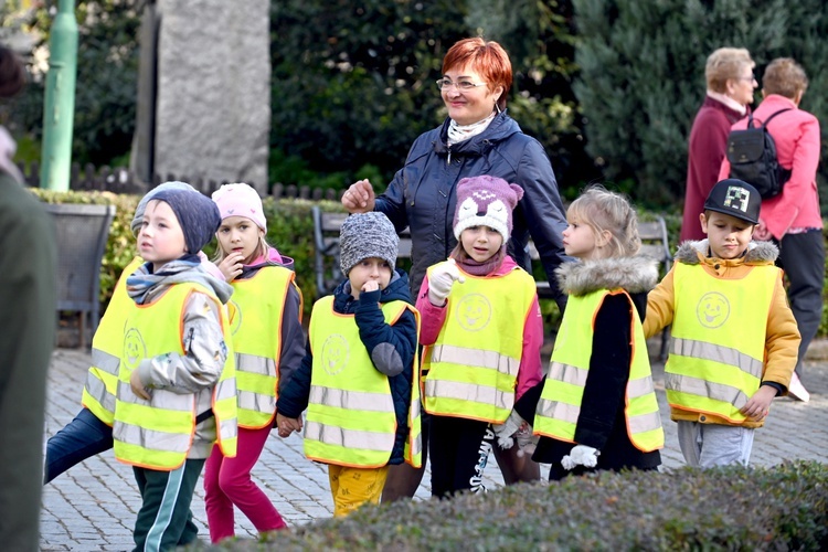 Tu zakwita dobro. Pola Nadziei w Świdnicy