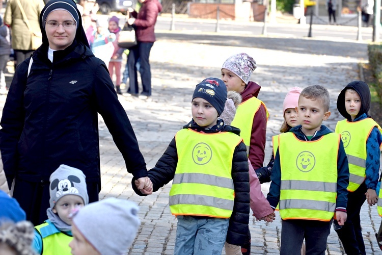 Tu zakwita dobro. Pola Nadziei w Świdnicy