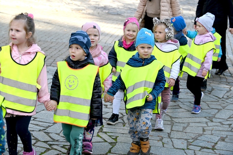 Tu zakwita dobro. Pola Nadziei w Świdnicy