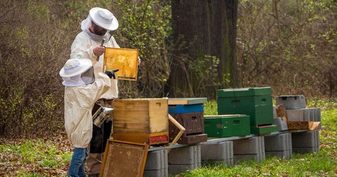 Siemianowice Śląskie. Szkolenia dla przyszłych pszczelarzy 
