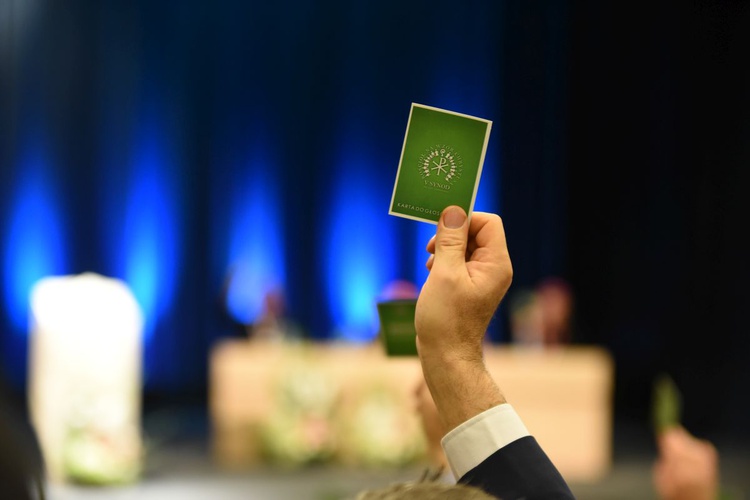 VII. Sesja Plenarna V SDT