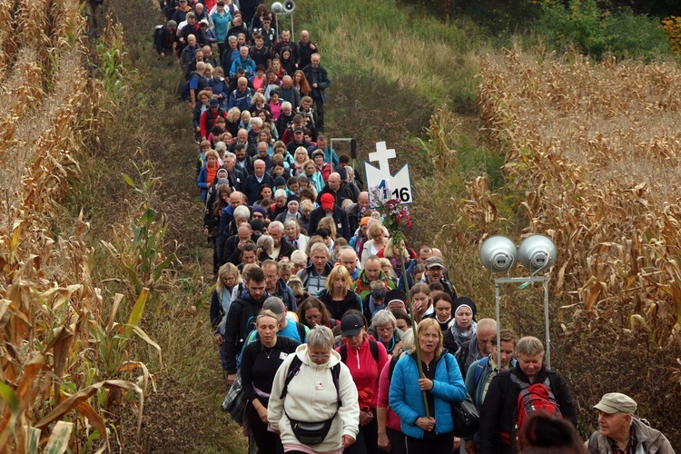 Pielgrzymka trzebnicka 2022 cz. 3