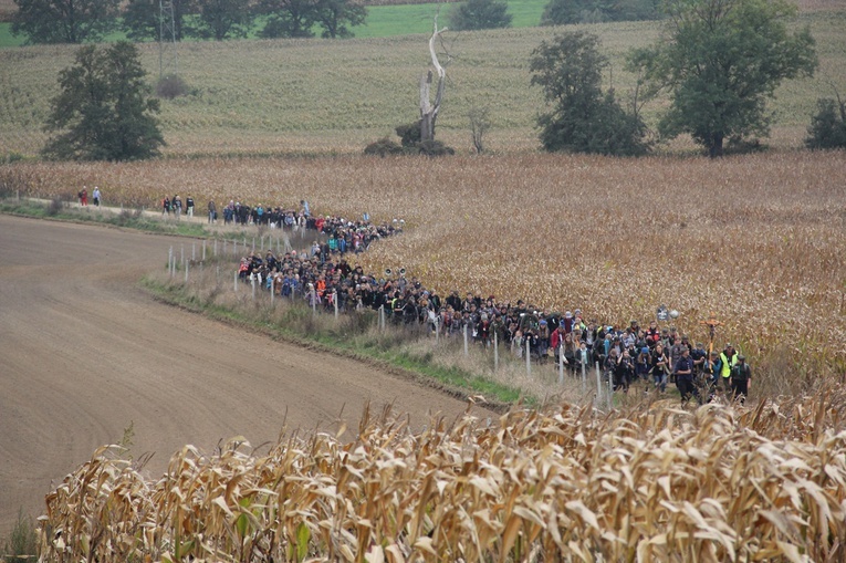 Pielgrzymka trzebnicka 2022 cz. 9