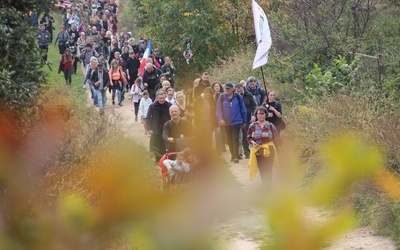 Pielgrzymka trzebnicka 2022 cz. 10