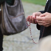 Wielkim niepokojem osób, które są skupione w parafialnych różach, jest brak następców, zwłaszcza młodych.