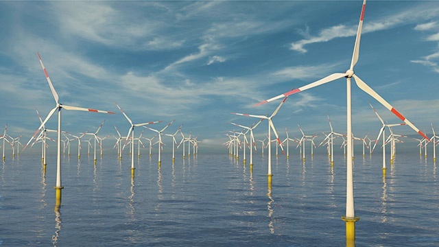 Morskie farmy wiatrowe zajmują ogromne powierzchnie. Z każdej turbiny poprowadzony jest kabel,  który przekazuje prąd na brzeg