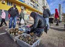 Mieszkańcy Charkowa: dziękujcie ludziom w Polsce, że o nas nie zapomnieli