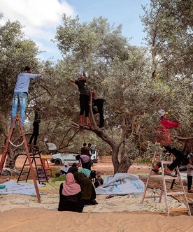 Palestyńczycy mają ręce pełne roboty. Rozpoczął się zbiór oliwek.
9.10.2022 Strefa Gazy 