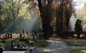 Siemianowicki cmentarz ewangelicki - GALERIA