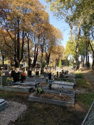 Siemianowicki cmentarz ewangelicki - GALERIA