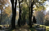 Siemianowicki cmentarz ewangelicki - GALERIA