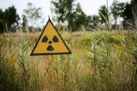 Müller: Polska planuje kilka elektrowni jądrowych