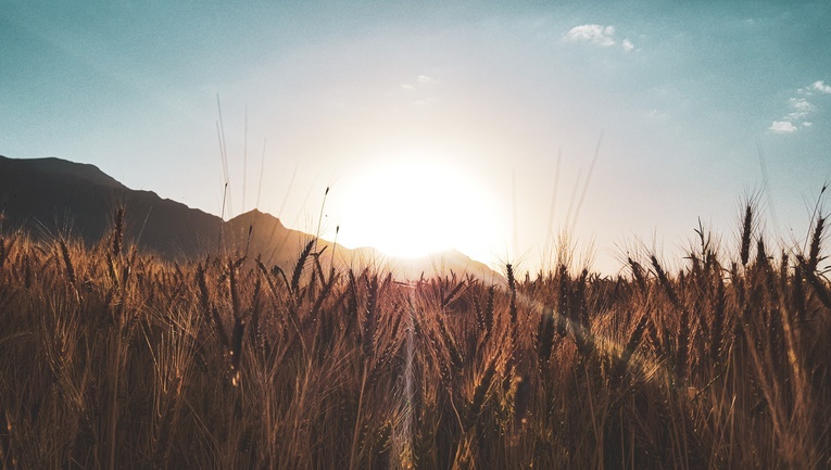 Zełenski: mamy nadzieję, że partnerzy uspokoją retorykę Rosji ws. inicjatywy zbożowej
