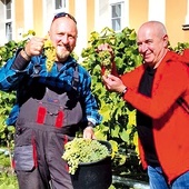 	W paradyskiej winnicy, jak przed wiekami, wino powstaje metodą tradycyjną. Na zdjęciu: Mariusz Pacholak i kustosz tutejszego sanktuarium ks. Dariusz Mazurkiewicz.