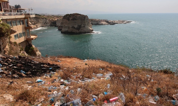 Wieloryby pochłaniają codziennie miliony cząstek mikroplastiku
