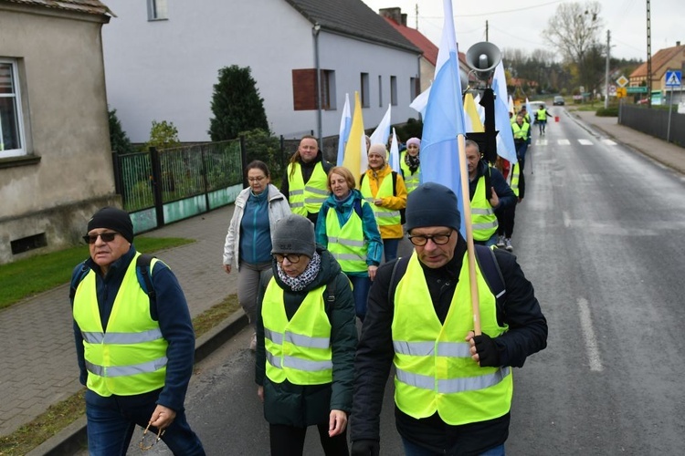 Pielgrzymka w pierwszą sobotę miesiąca z Międzyrzecza do Rokitna