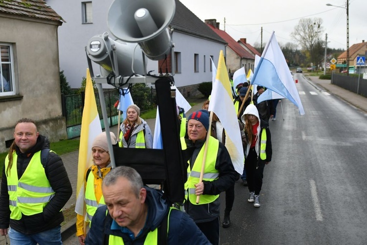 Pielgrzymka w pierwszą sobotę miesiąca z Międzyrzecza do Rokitna