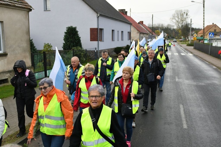 Pielgrzymka w pierwszą sobotę miesiąca z Międzyrzecza do Rokitna