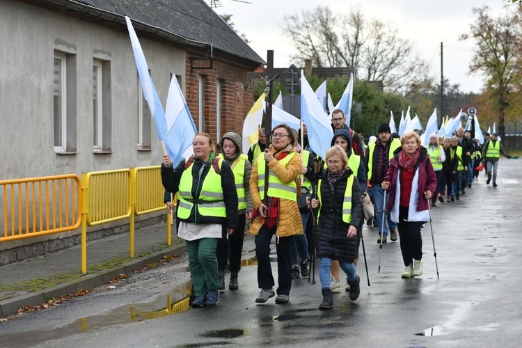 Pielgrzymka w pierwszą sobotę miesiąca z Międzyrzecza do Rokitna